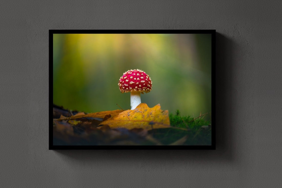 The Red Cap lijst