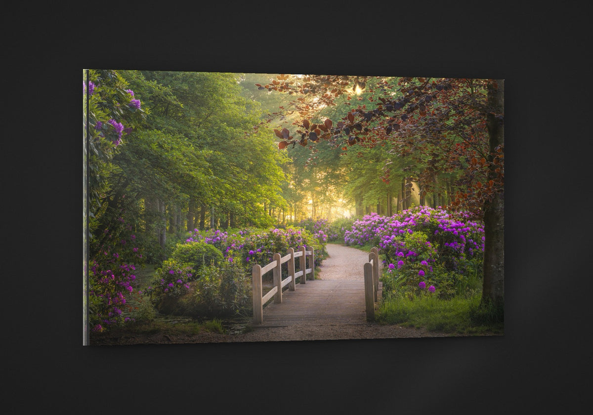 The Rhododendron Path acryl
