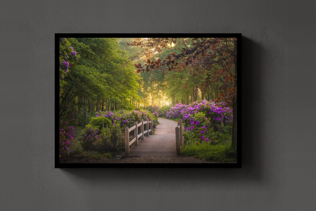 The Rhododendron Path lijst