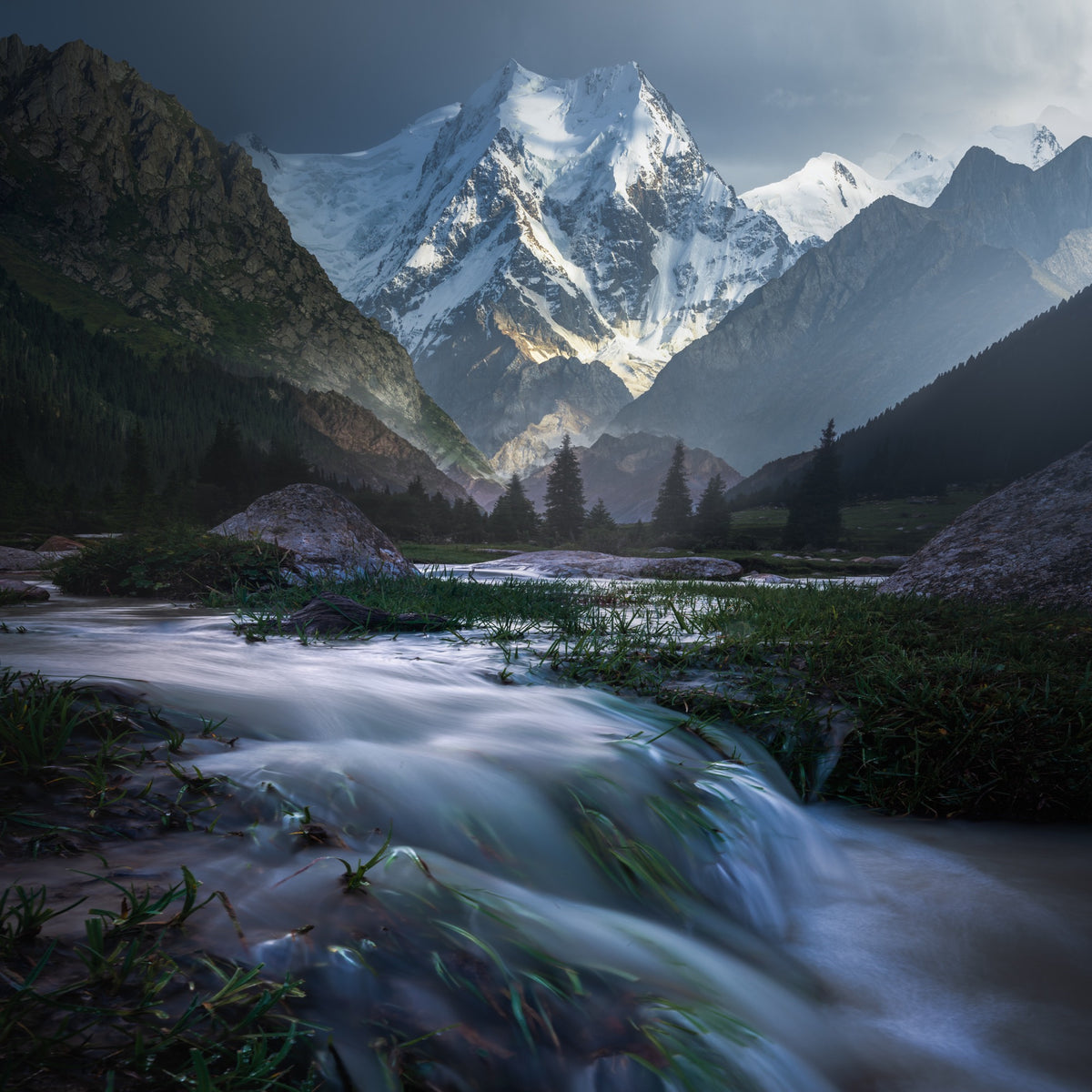 The Summer Valley