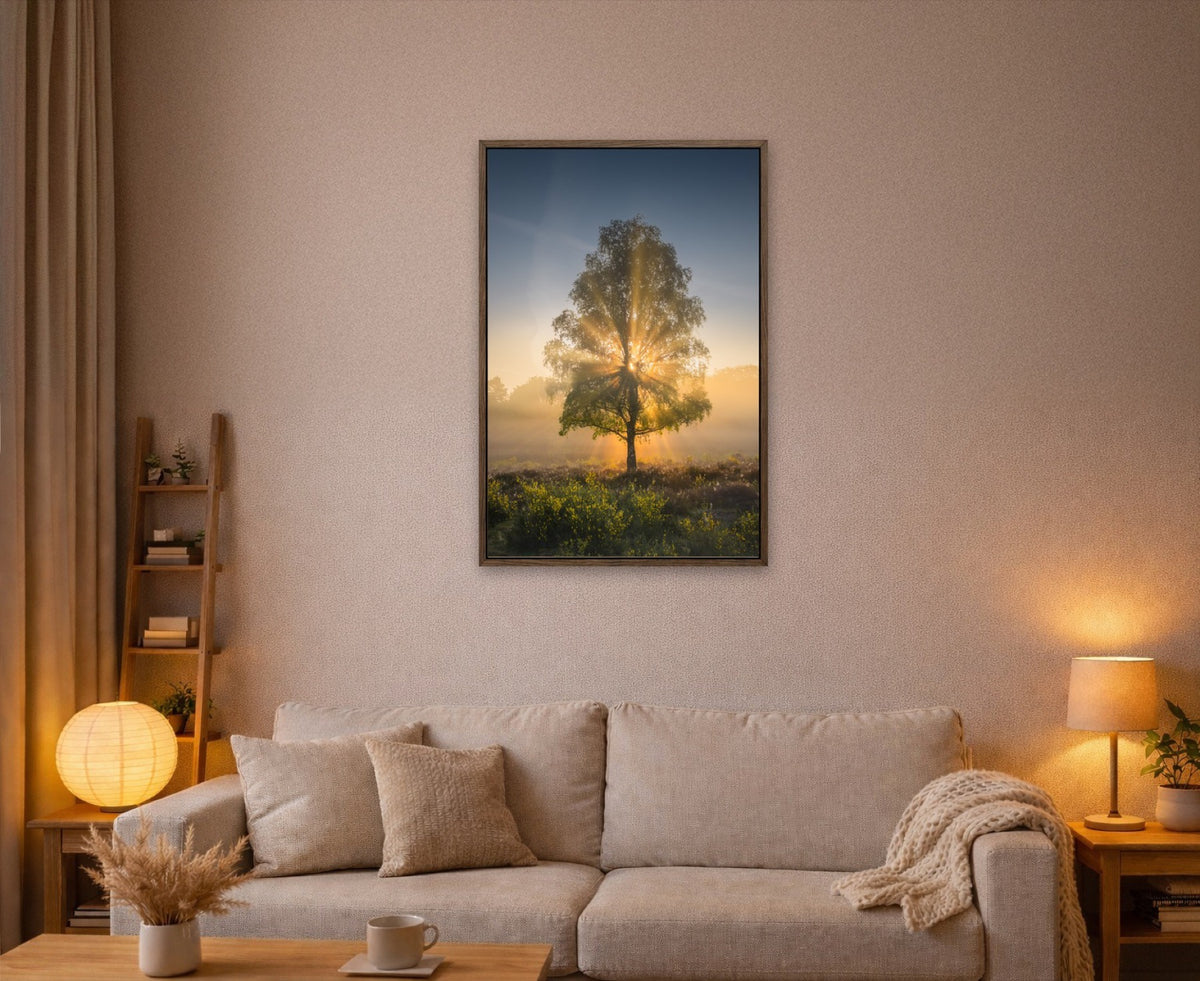 The Sun Tree lijst kamer