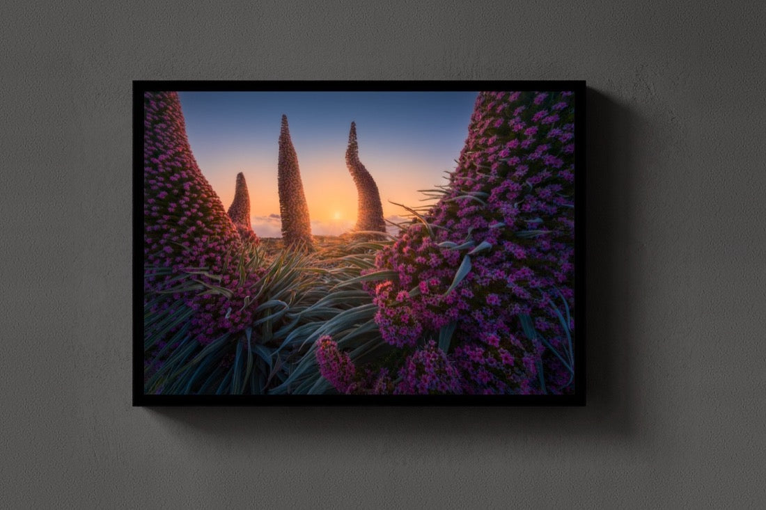 The Towers of Jewels lijst