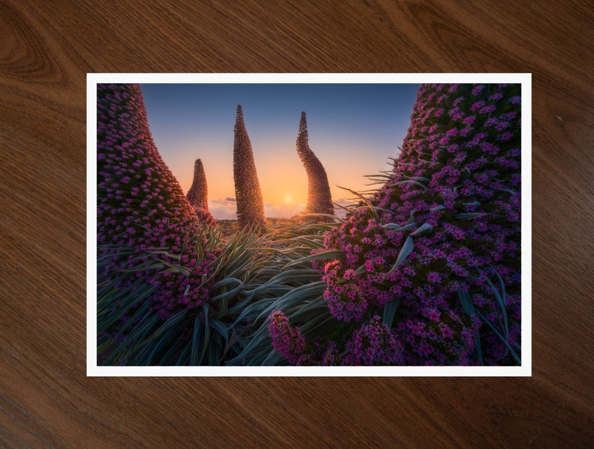 The Towers of Jewels print