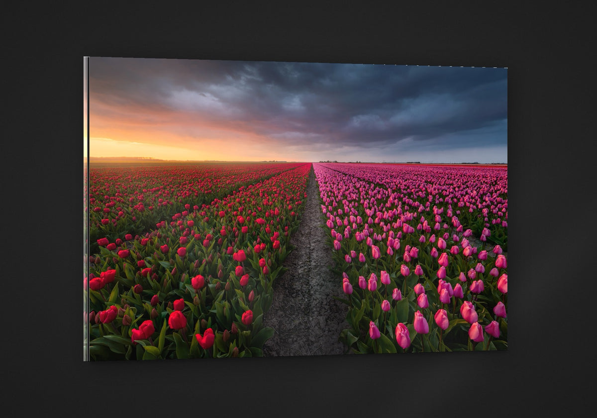 The Tulip Road acryl