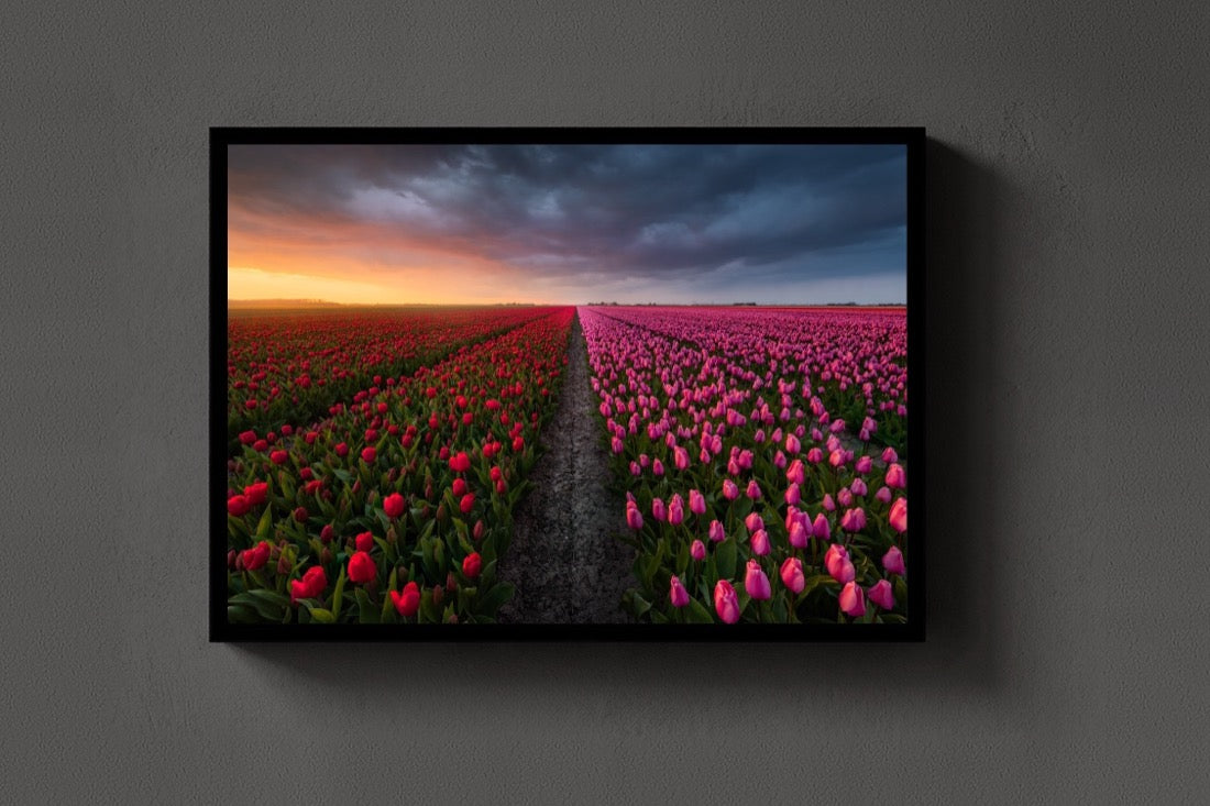 The Tulip Road lijst
