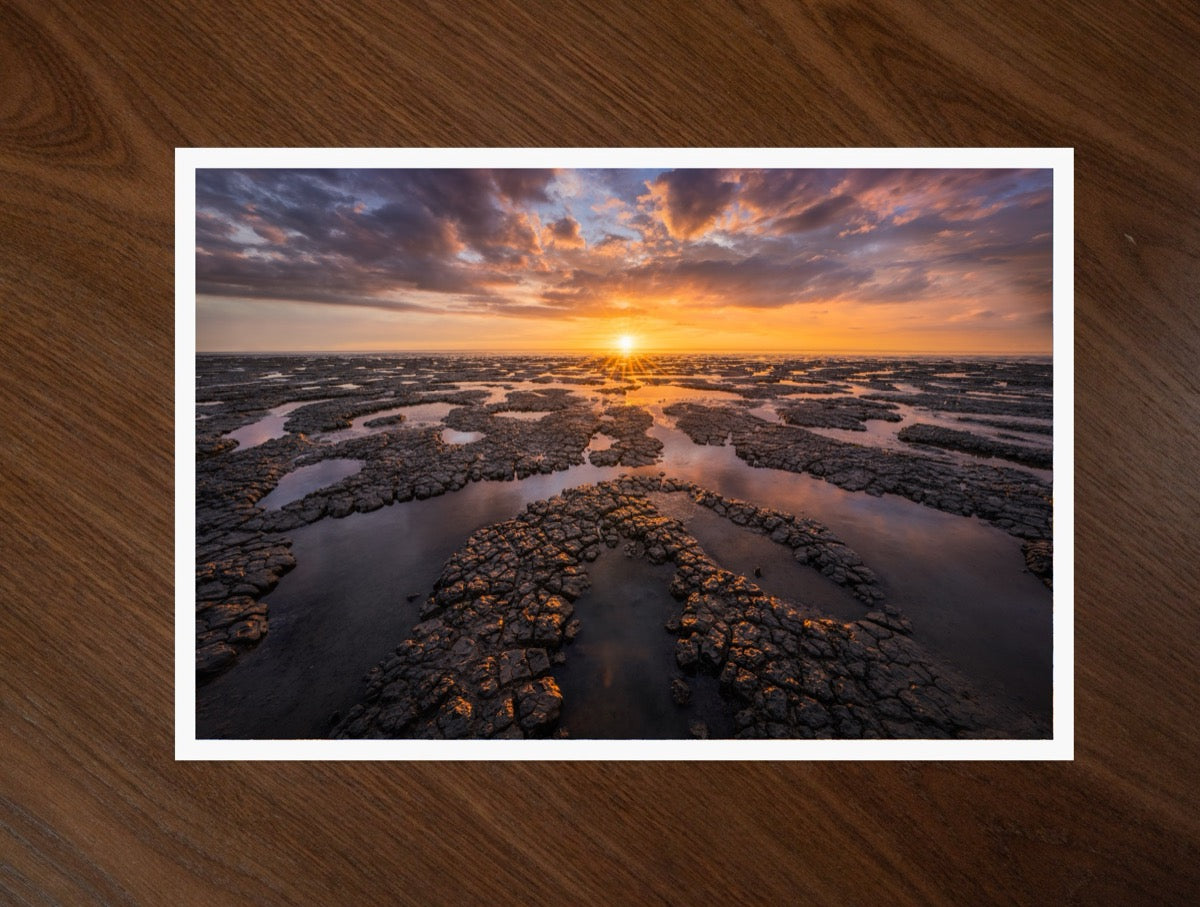 The Wadden Light print