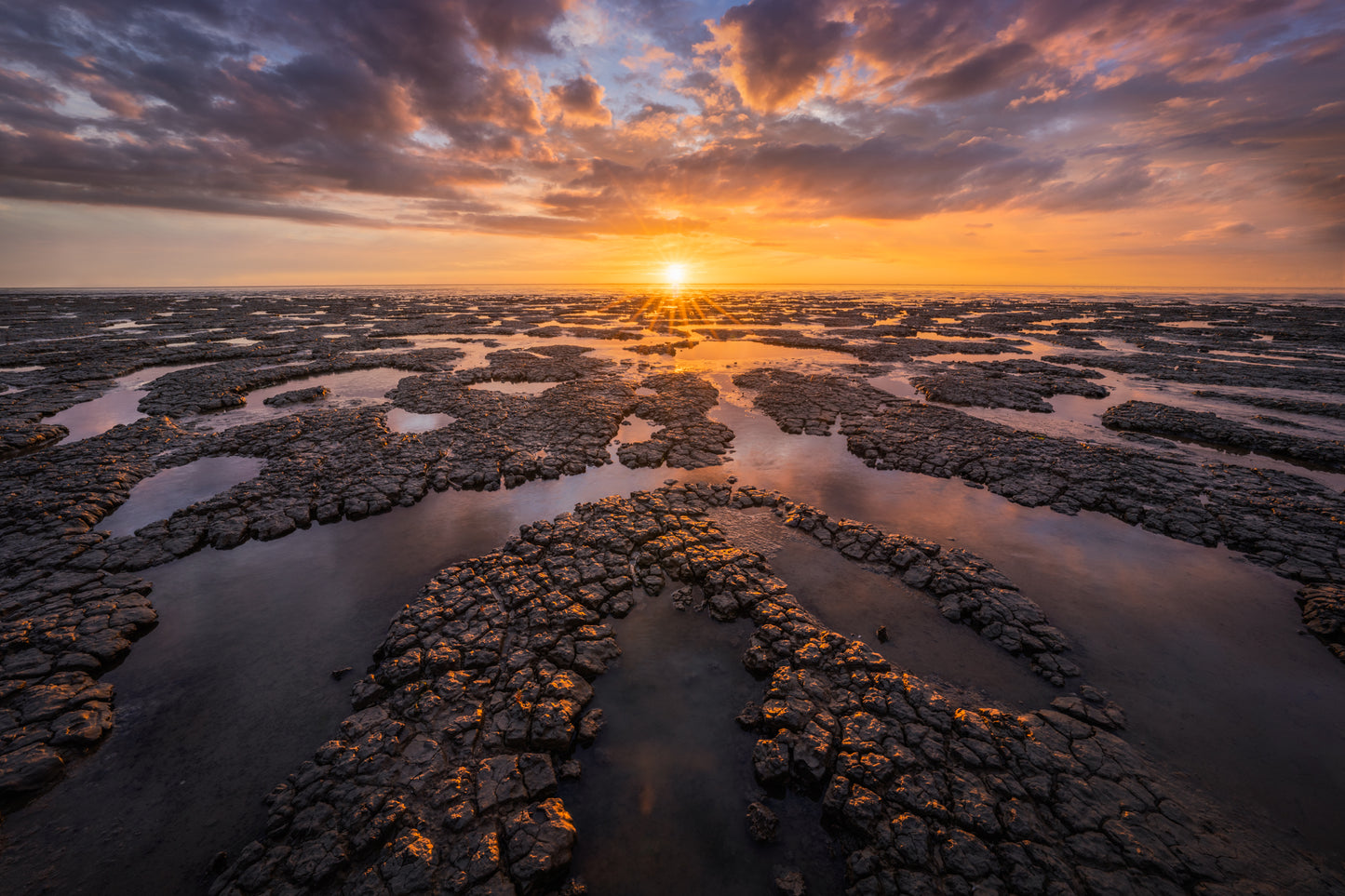 The Wadden Light