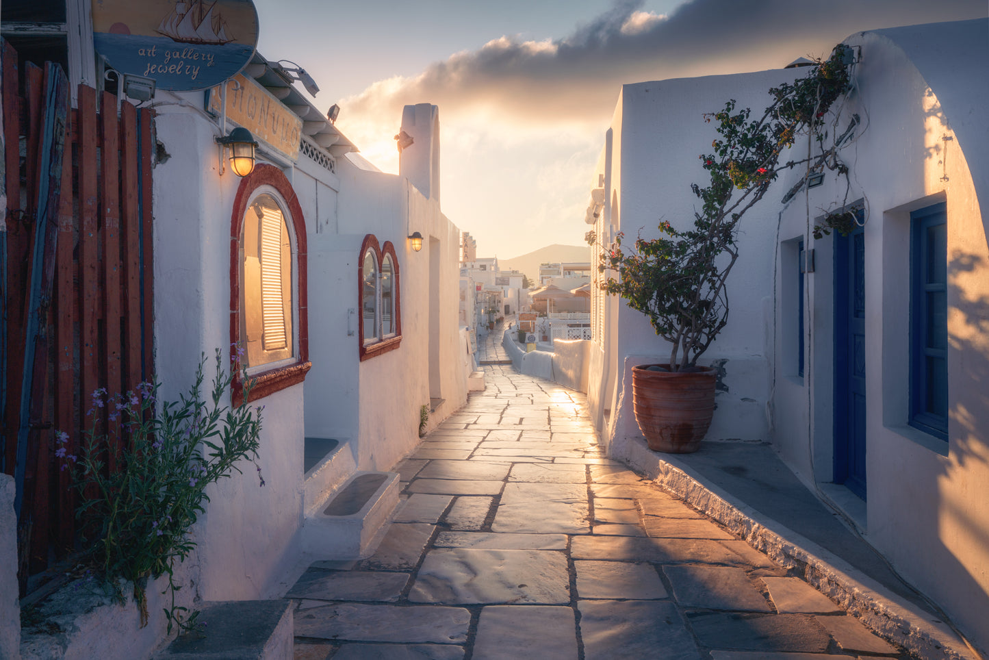 The White Alley