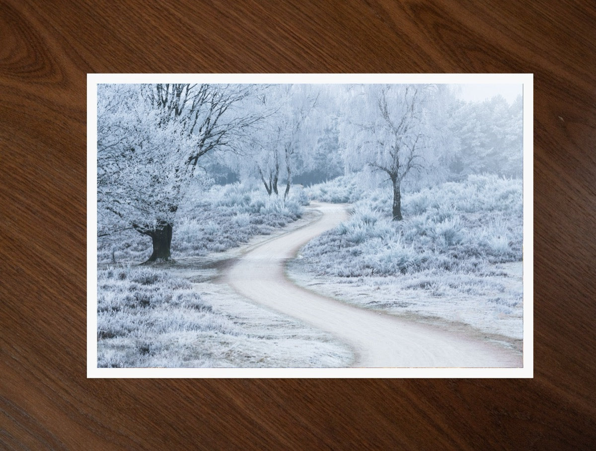 The White Bend print