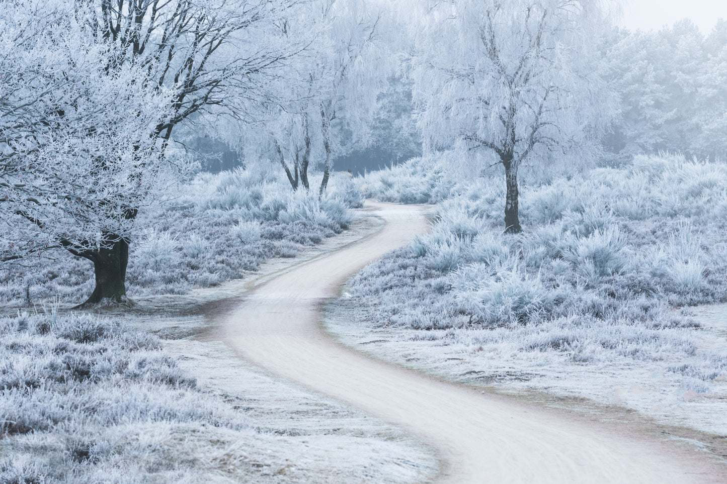 The White Bend