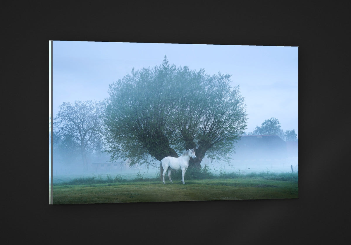 The White Horse acryl