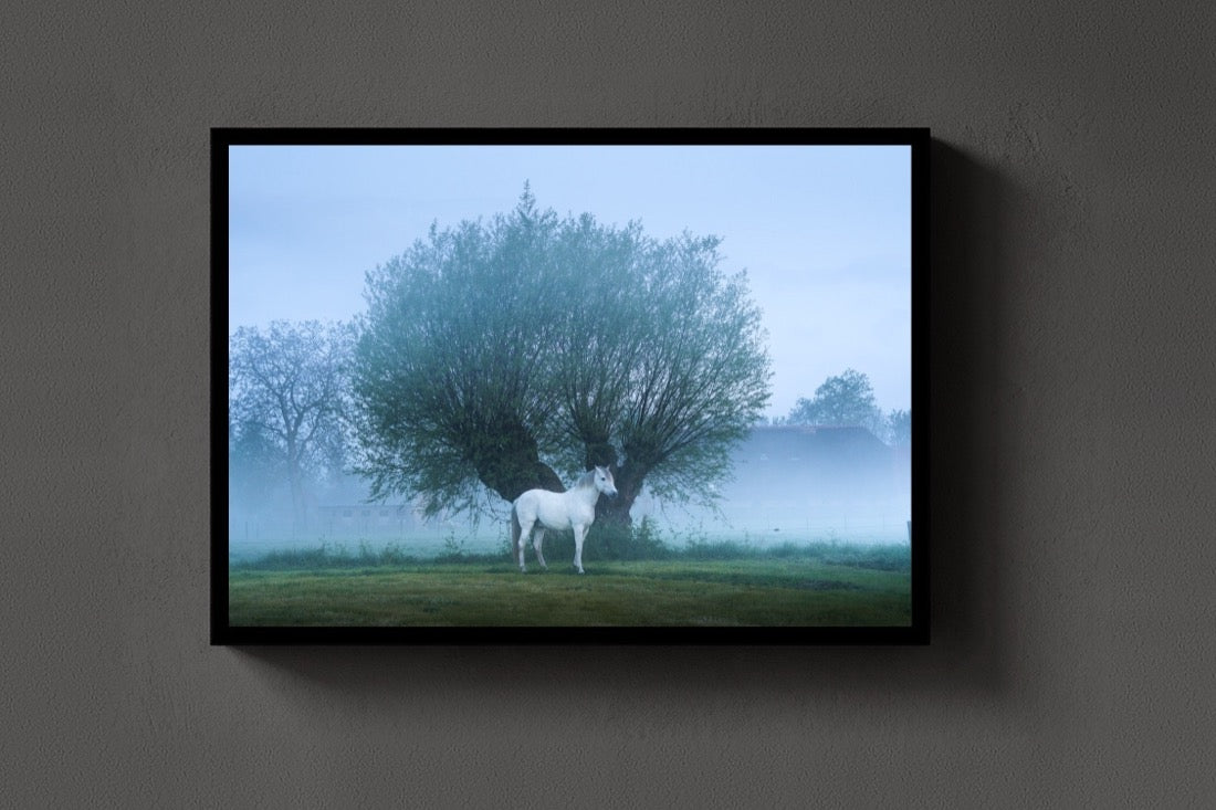The White Horse lijst