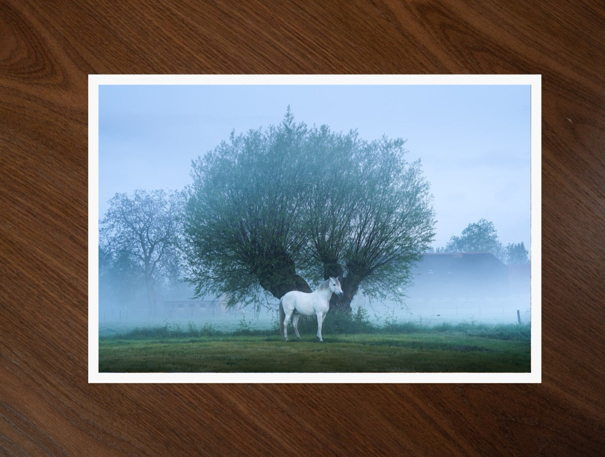 The White Horse print