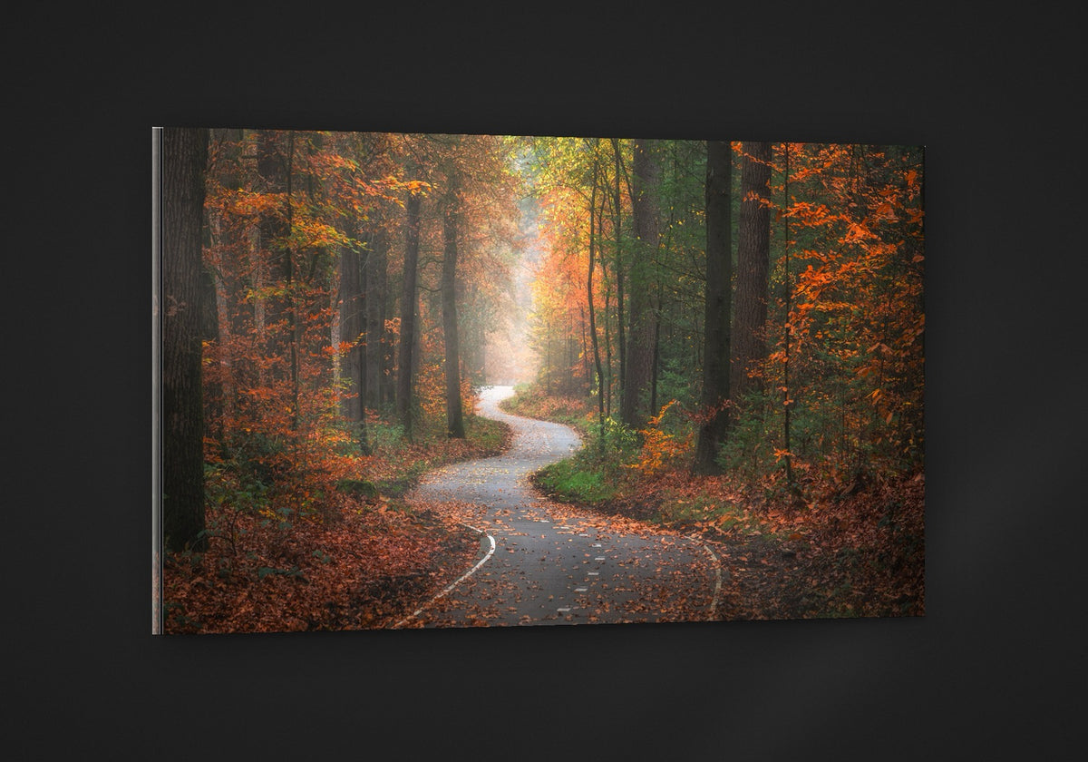 The Winding Path acryl