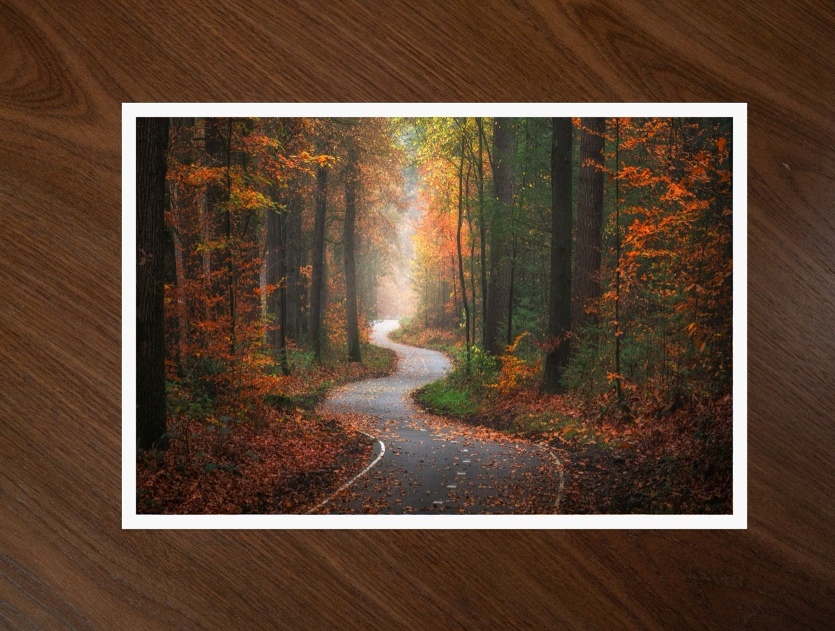 The Winding Path print