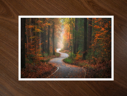 The Winding Path print