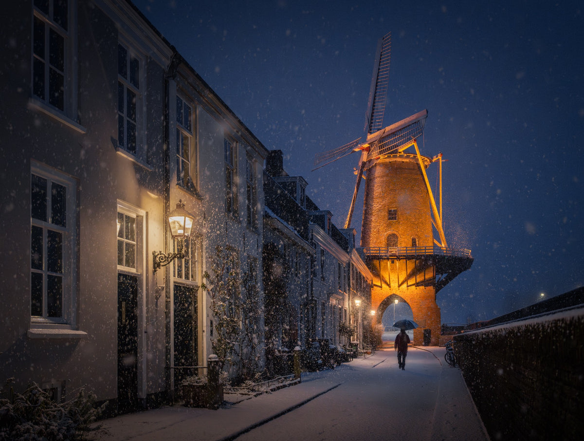 The Winter Walk