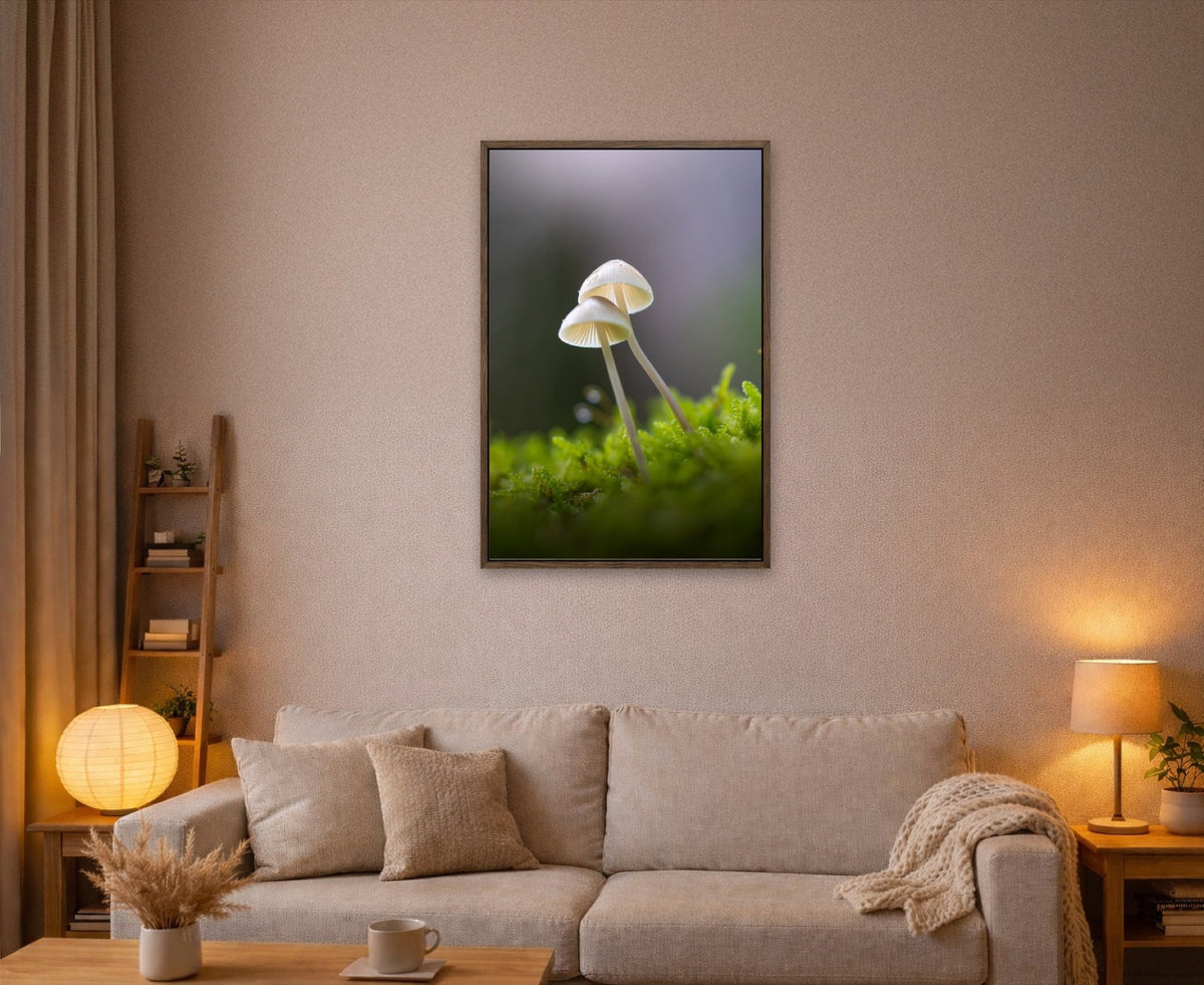 Three of a Kind lijst kamer
