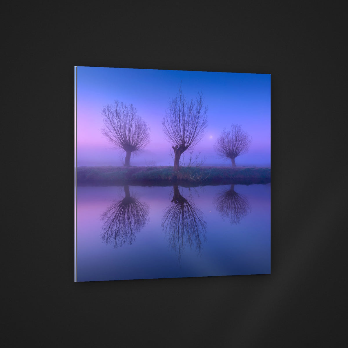 Three Willows acryl