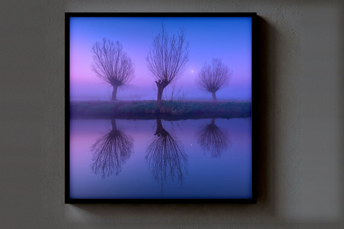 Three Willows print
