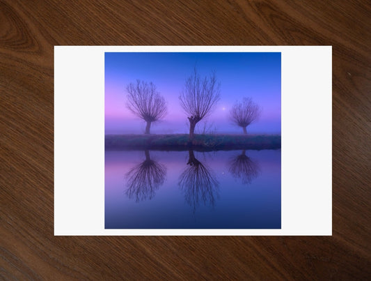Three Willows print