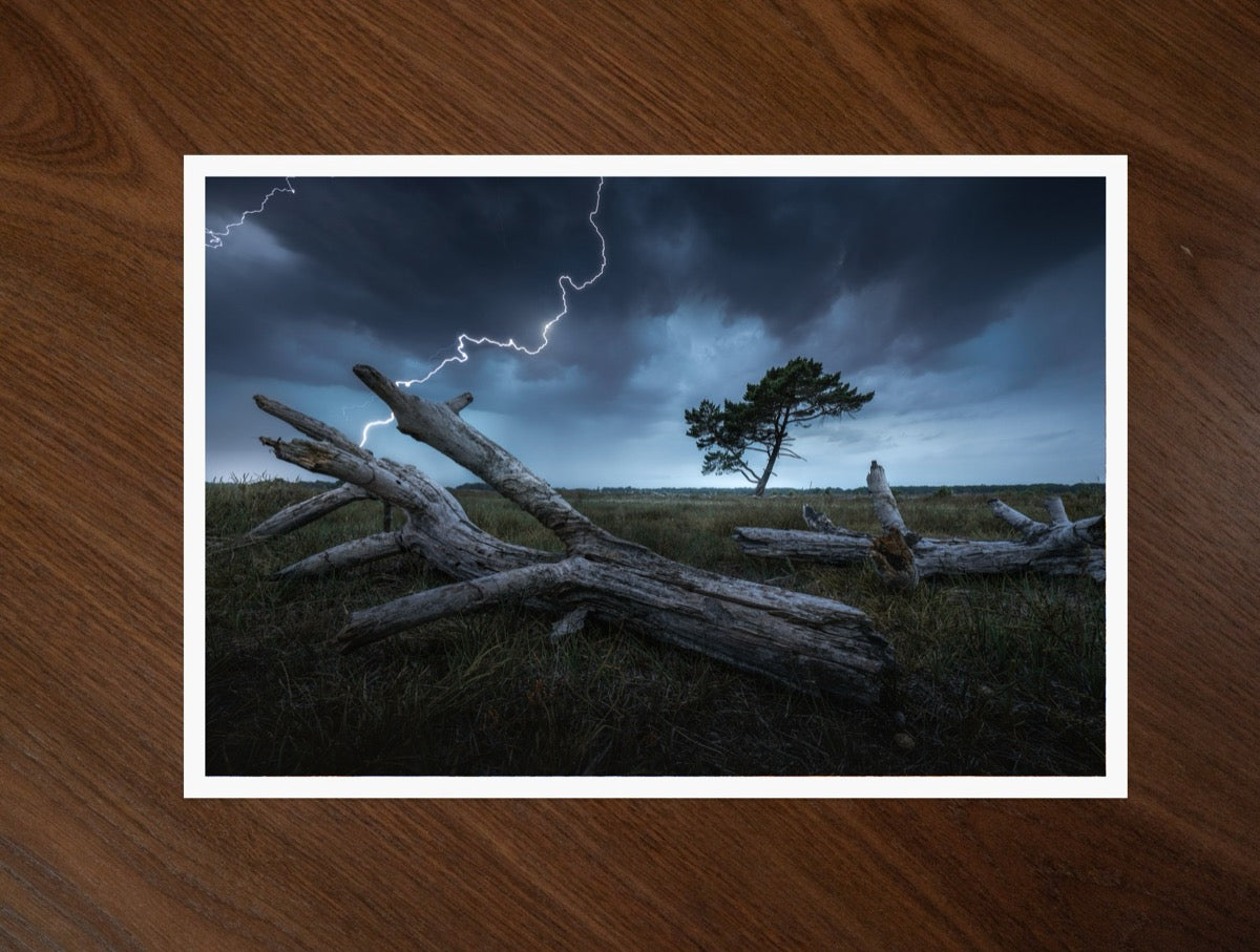 Tree of Darkness print