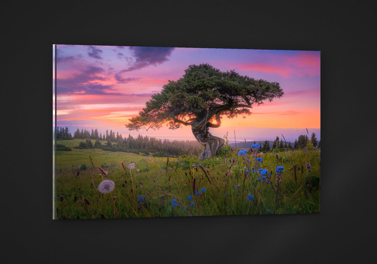Tree of Wisdom acryl