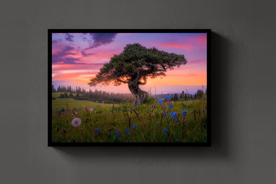 Tree of Wisdom lijst