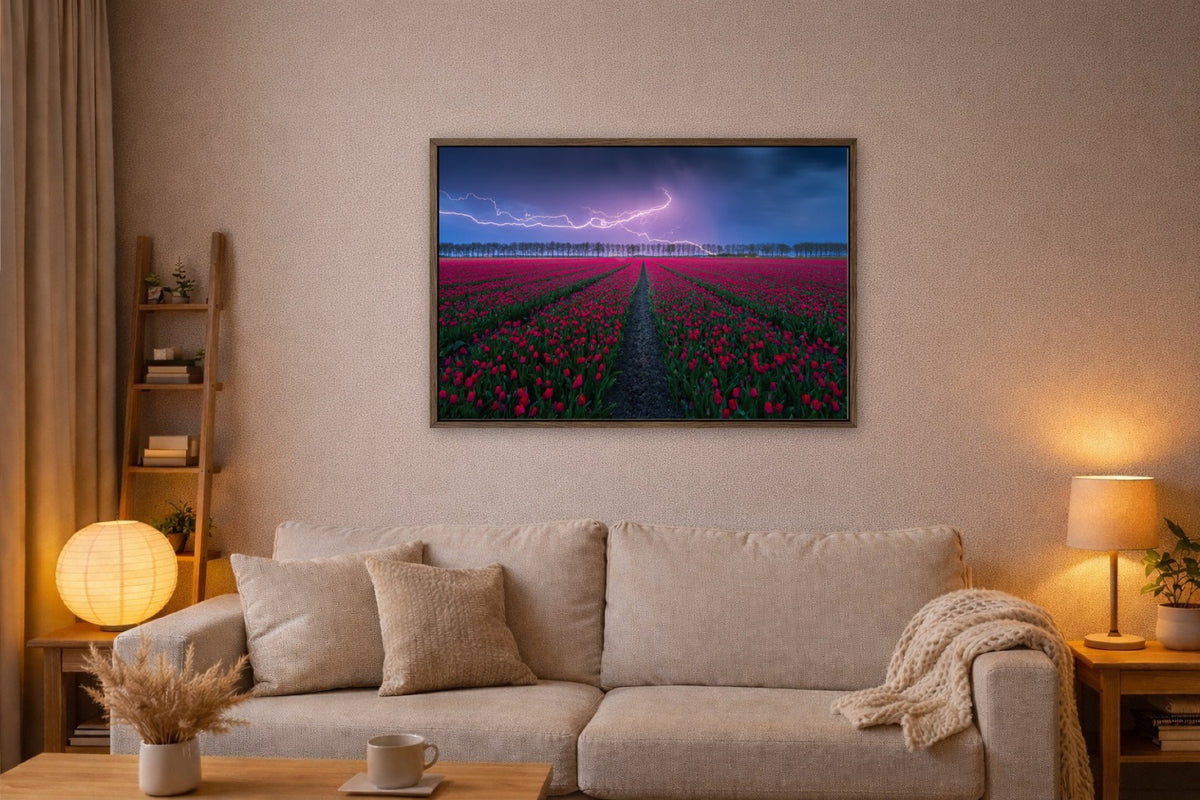 Tulip Strike lijst kamer