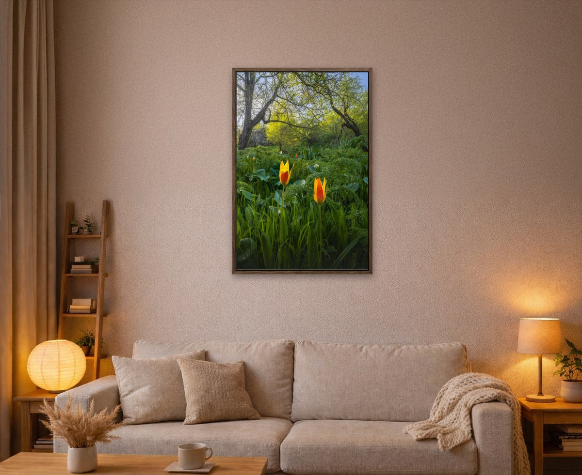 Tulips in the Wild lijst kamer