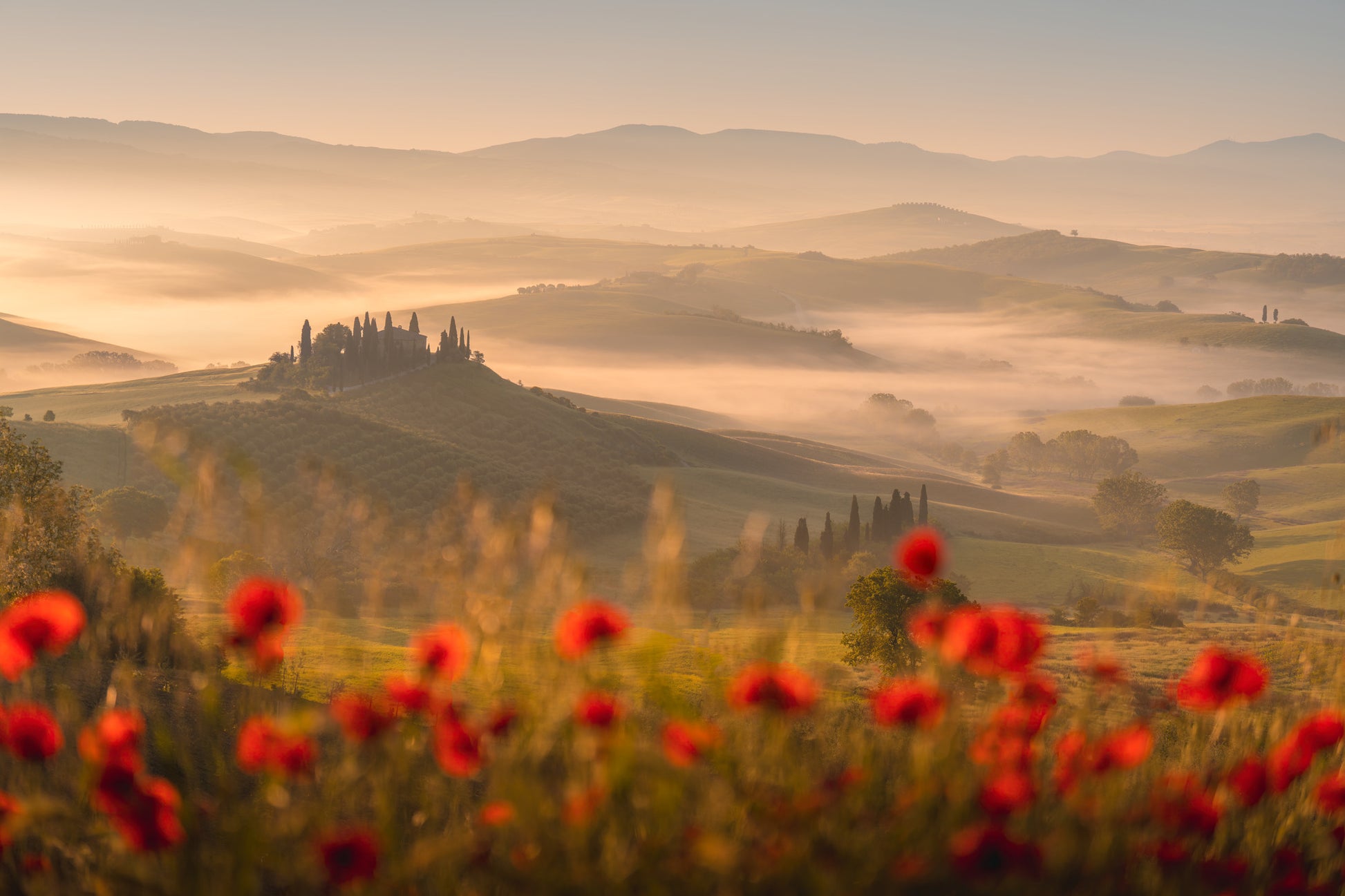 Tuscany Dream