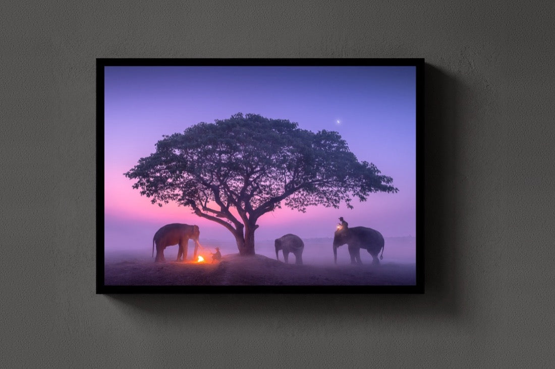 Twilight with Giants lijst
