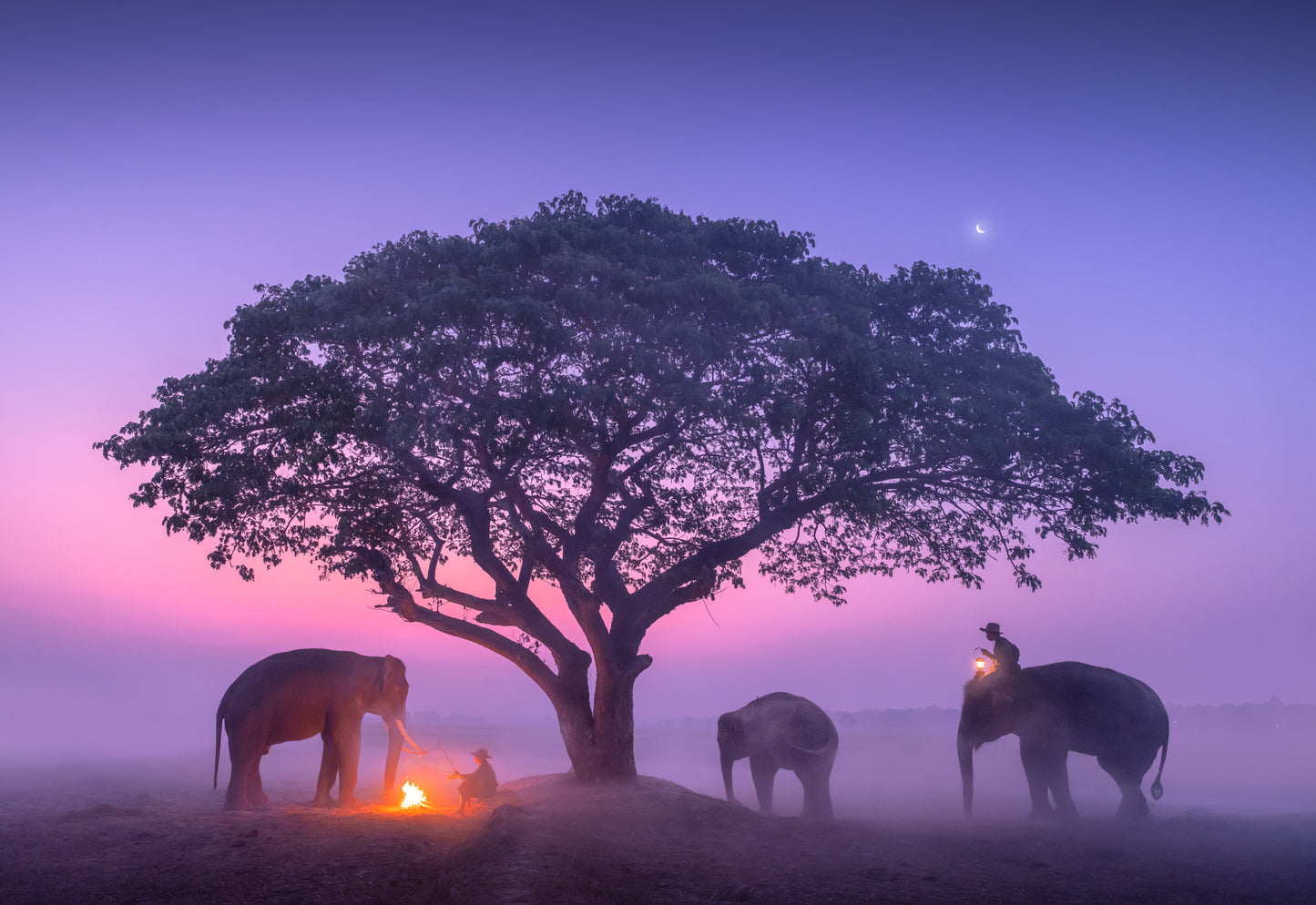 Twilight with Giants