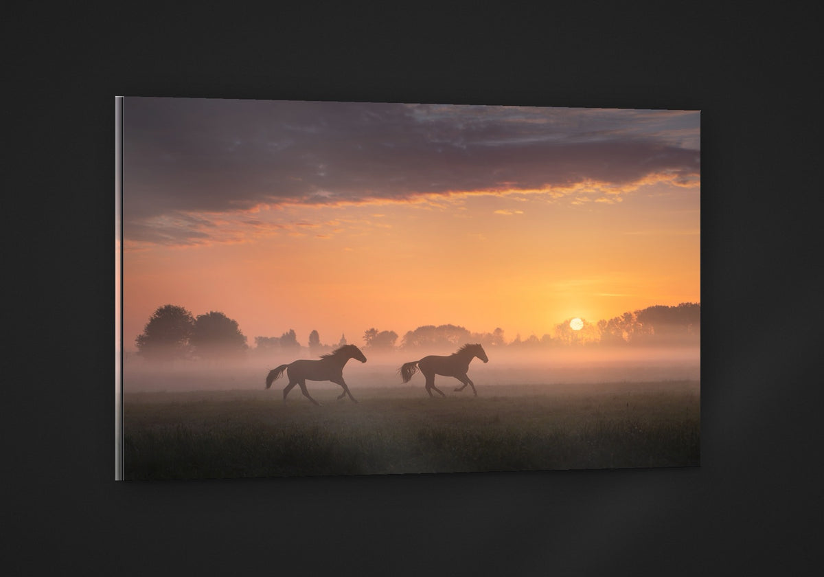 Two Horses acryl