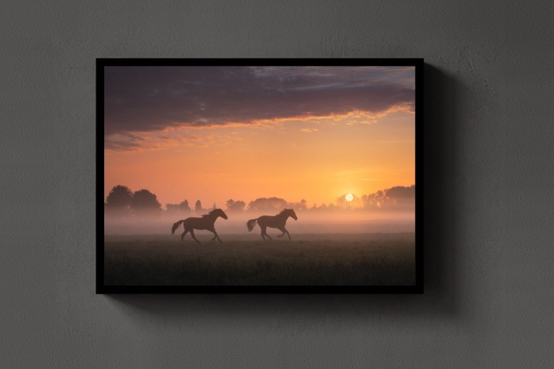 Two Horses lijst