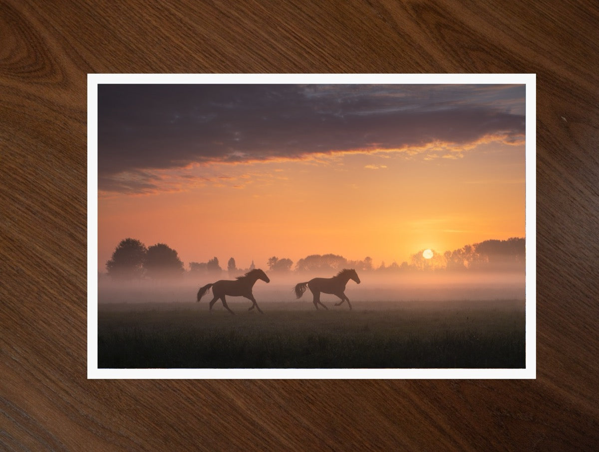 Two Horses print