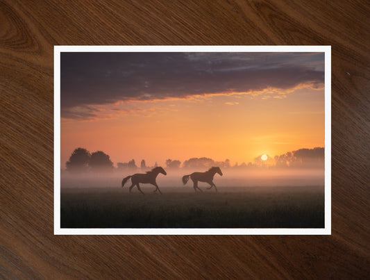 Two Horses print