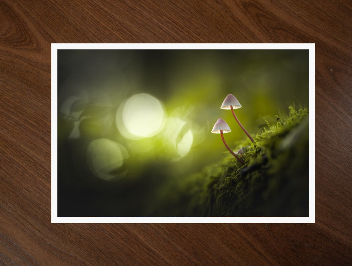 Two Little Ones print
