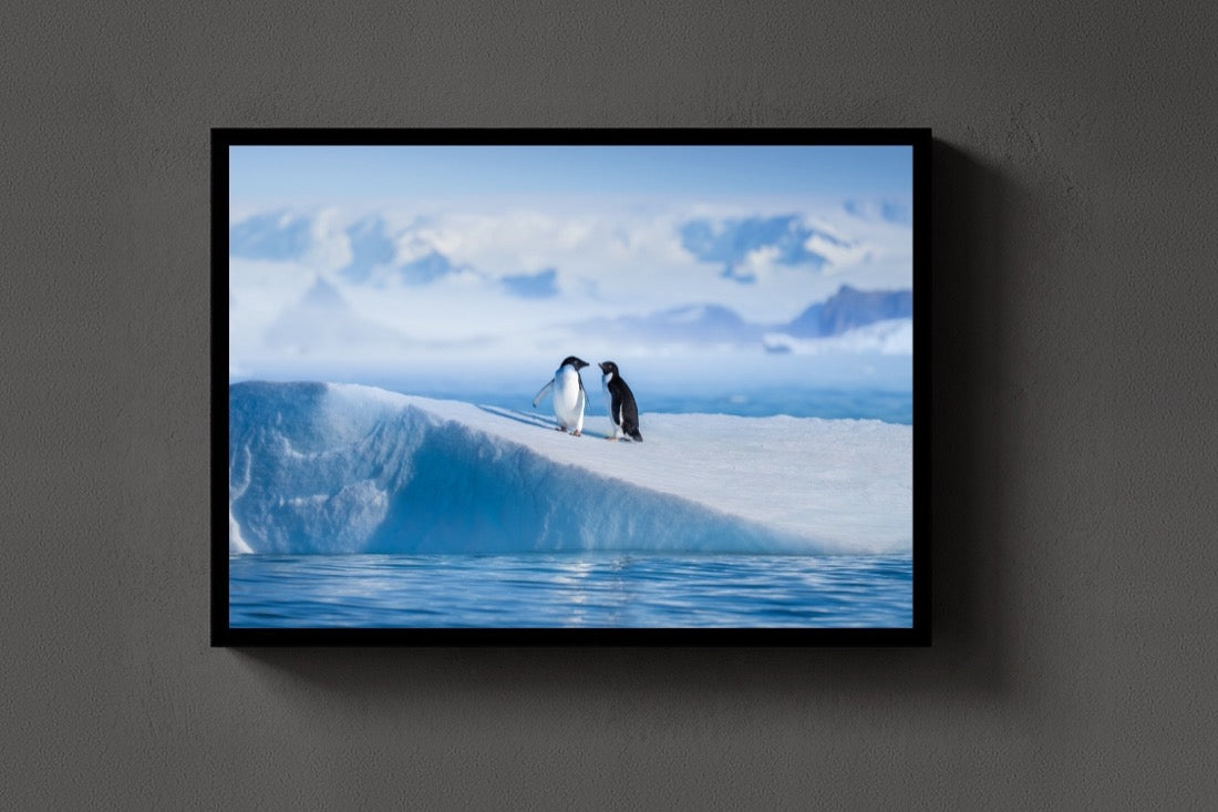 Two on the Ice lijst
