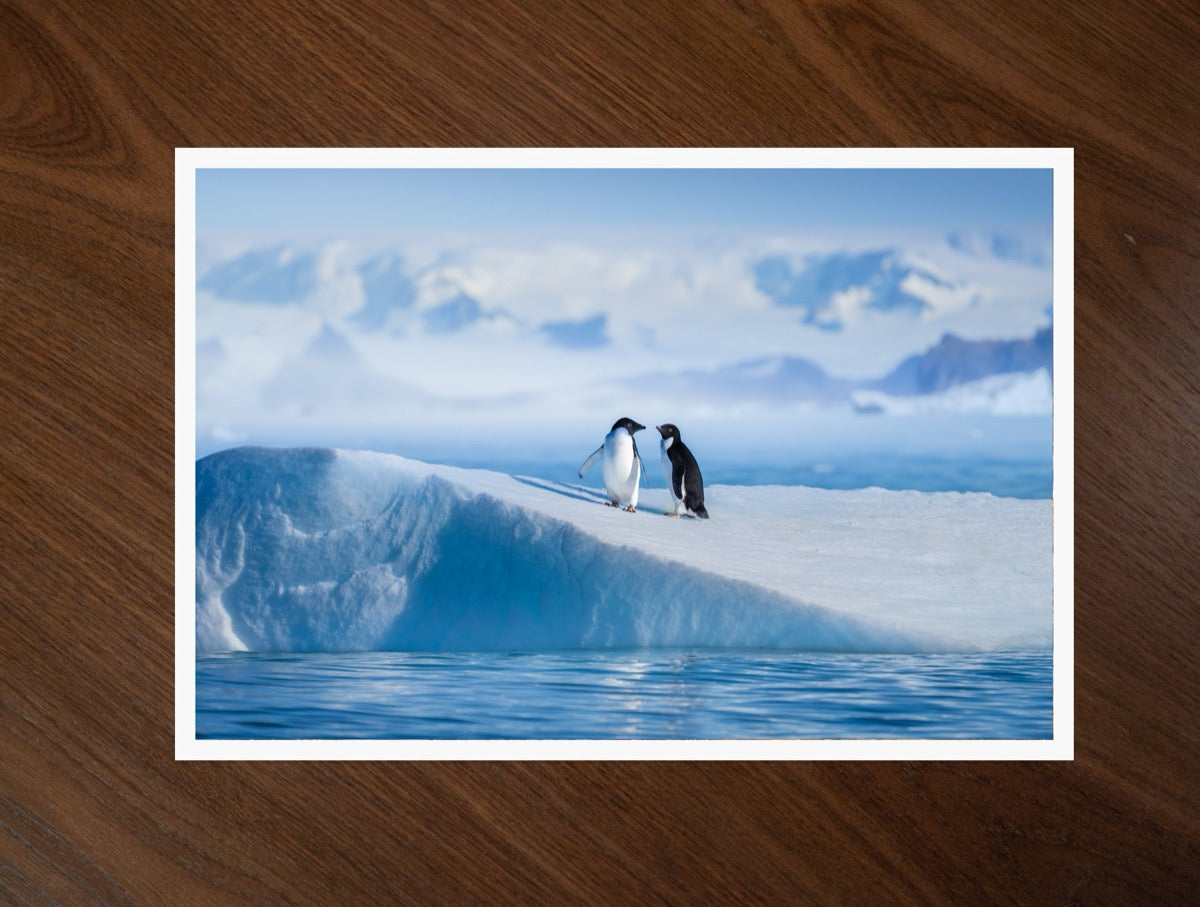 Two on the Ice print