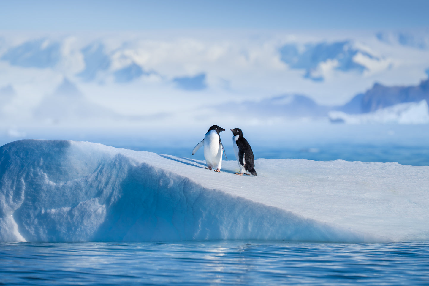 Two on the Ice