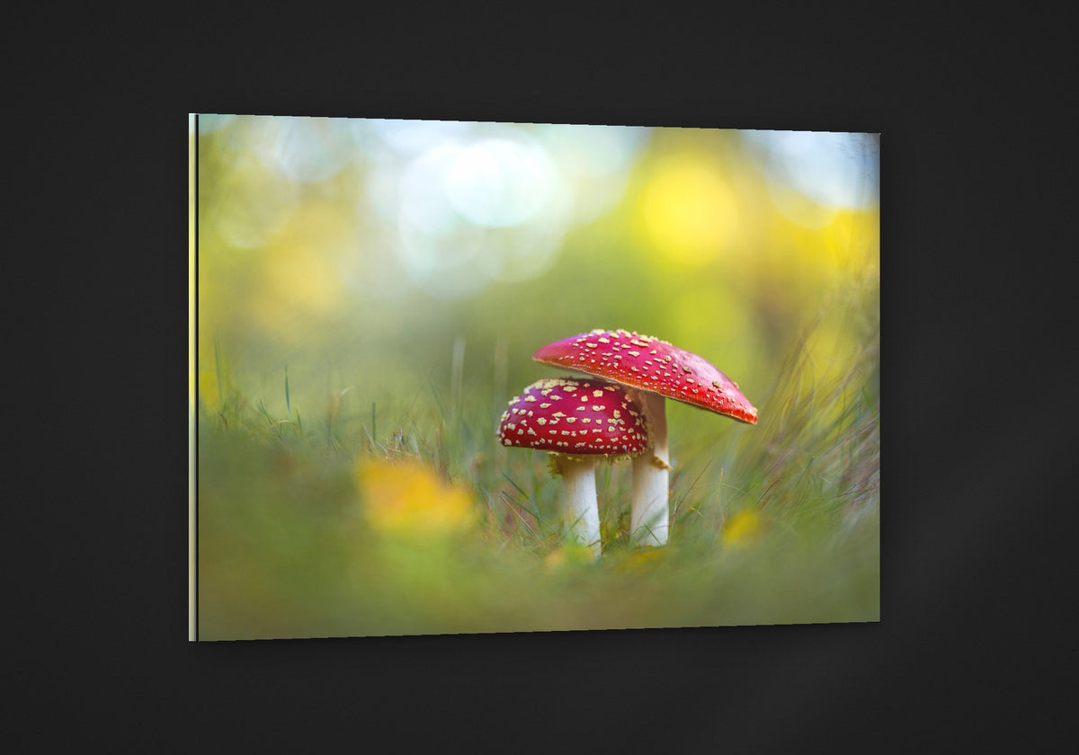 Two Red Caps acryl