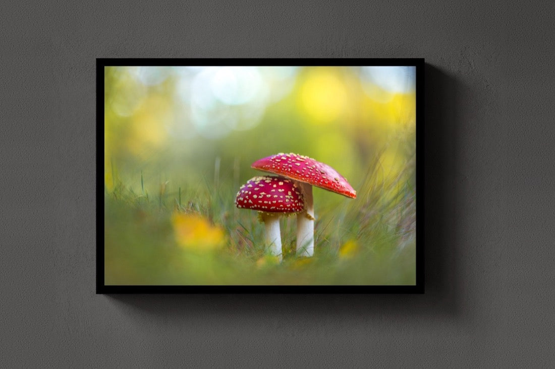 Two Red Caps lijst