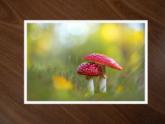 Two Red Caps print