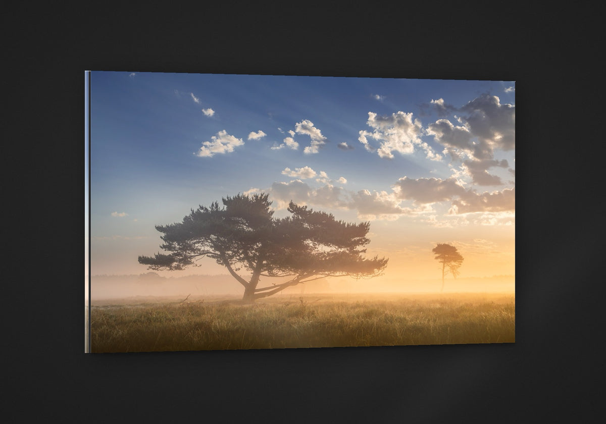 Two Trees at Dawn acryl