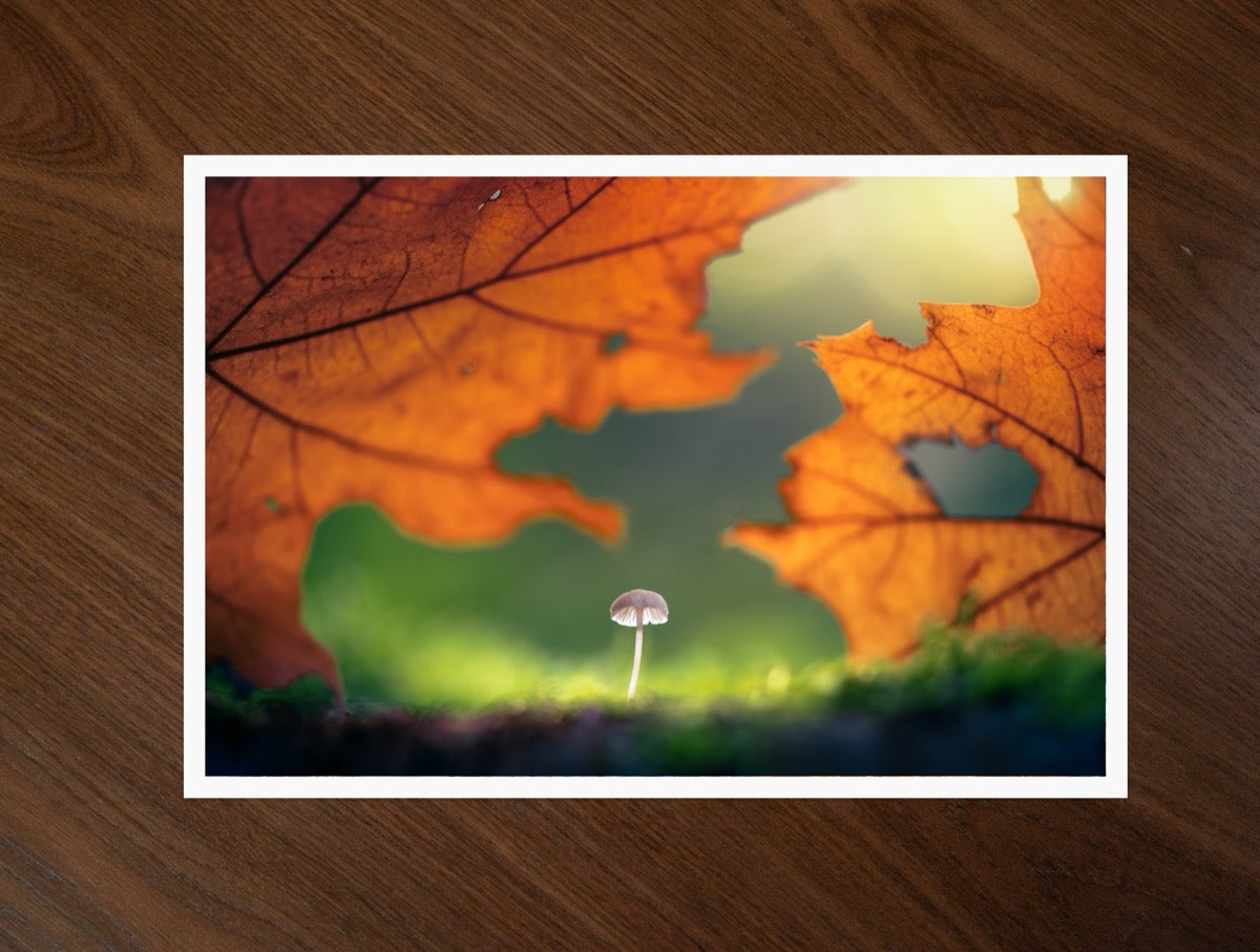 Under the Leaf print