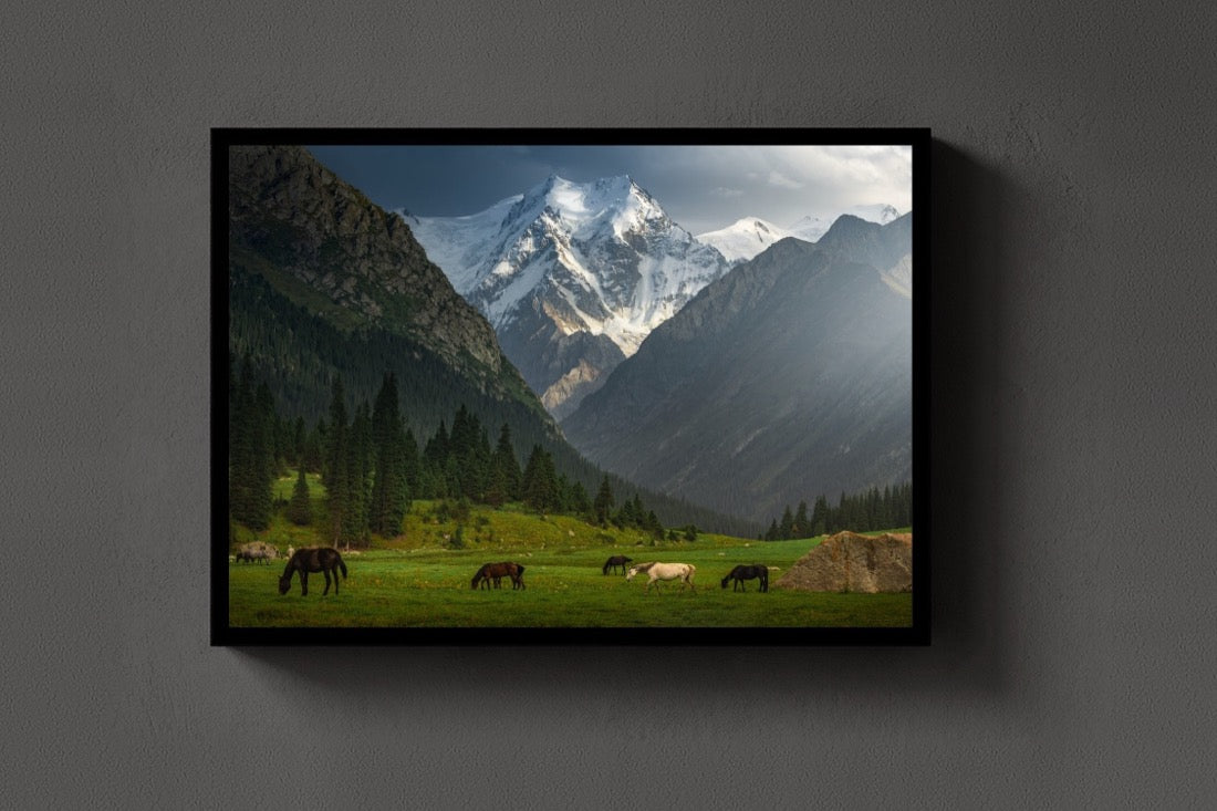 Valley of Dreams lijst