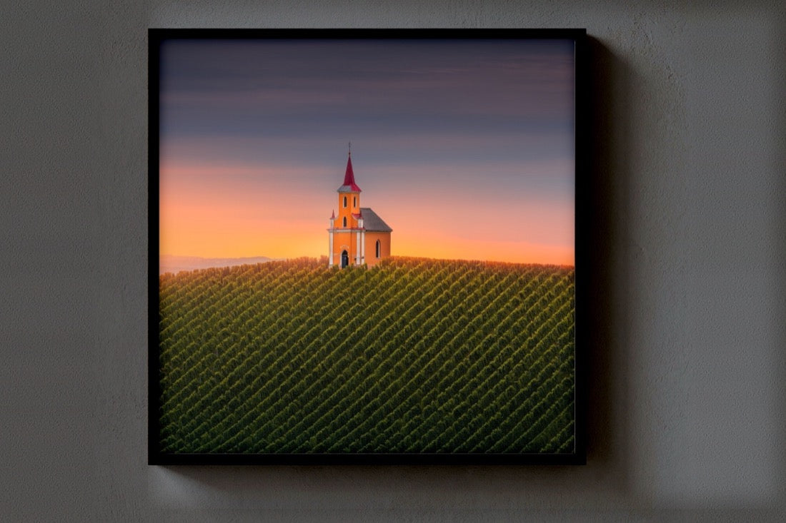 Vineyard Church print