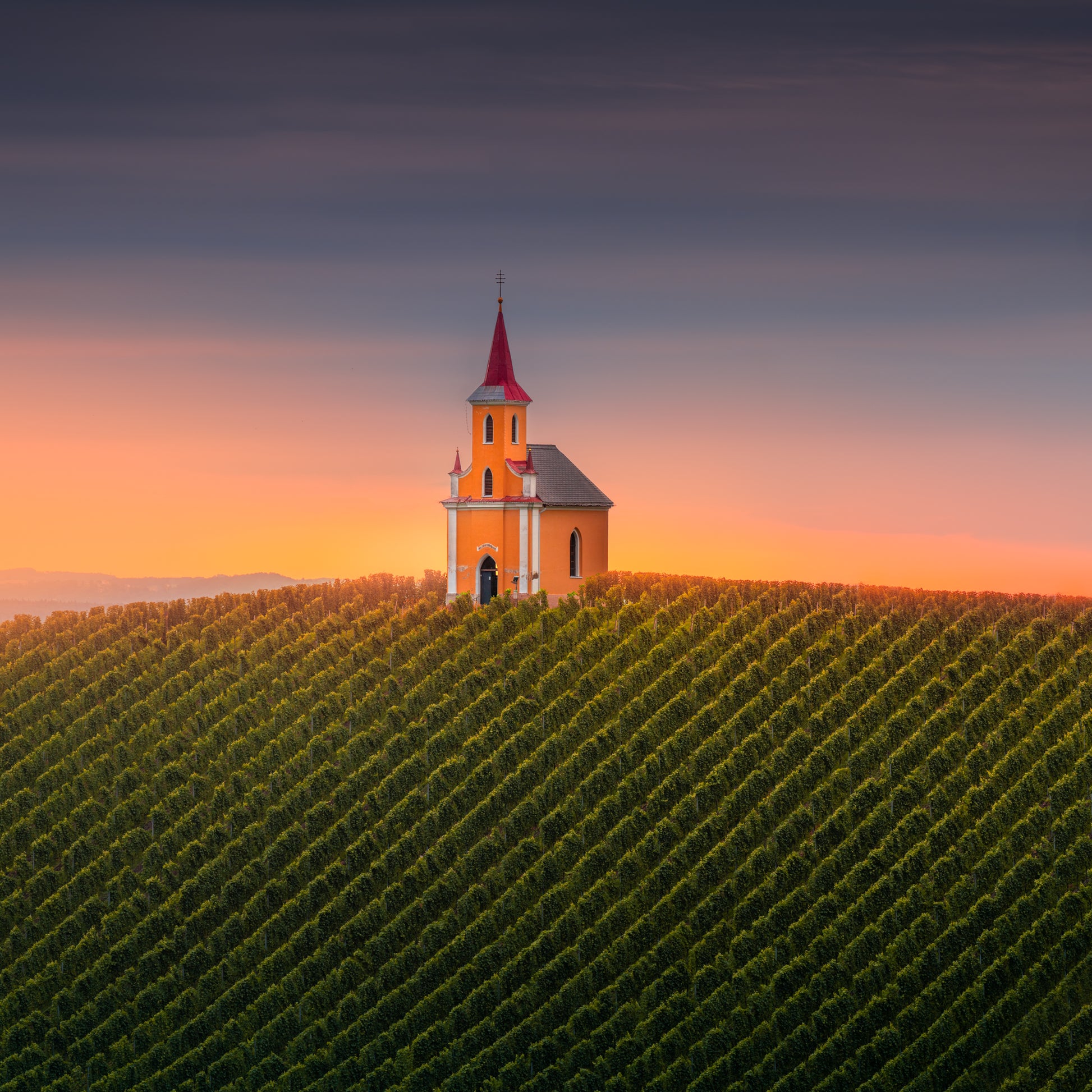 Vineyard Church