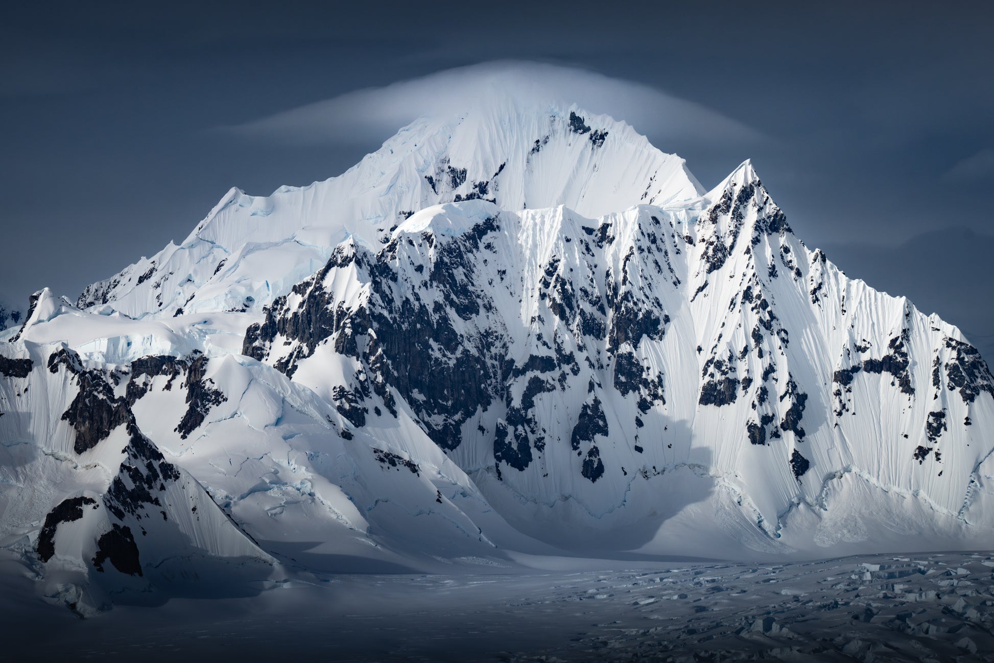 White Giant